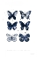 Picture of SIX INKY BUTTERFLIES BLUE