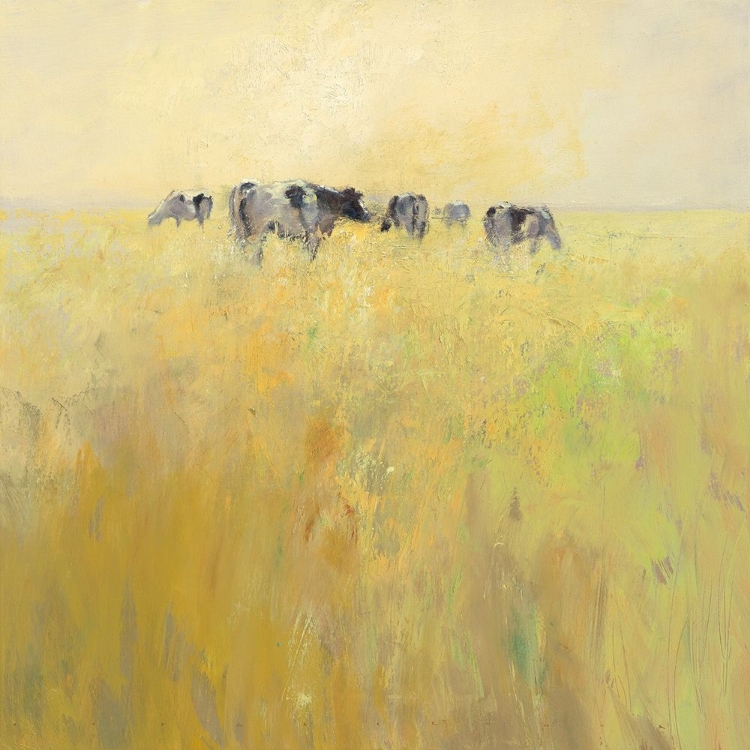 Picture of COWS IN SPRING
