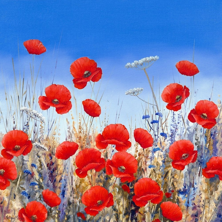 Picture of POPPY MEADOW II