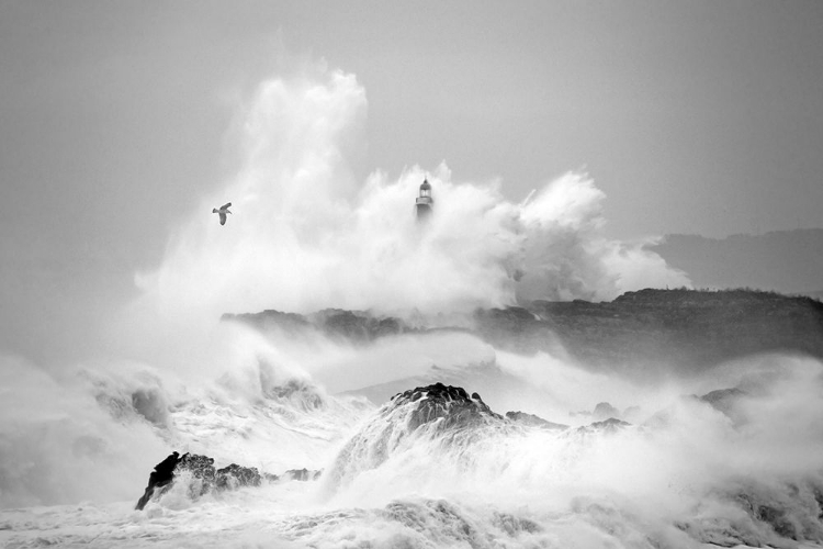 Picture of STORM IN CANTABRIA