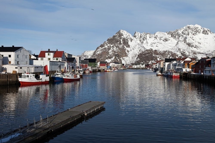 Picture of HENNINGSVAER HAFEN  LOFOTEN IM WINTER