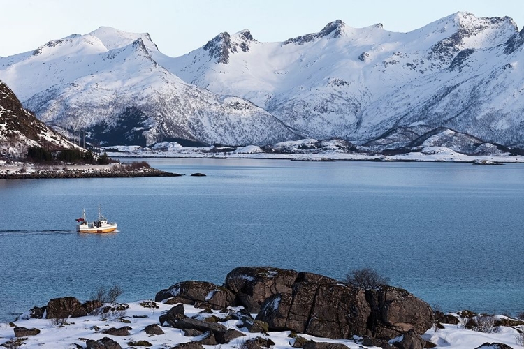 Picture of FISCHERBOOT LOFOTEN