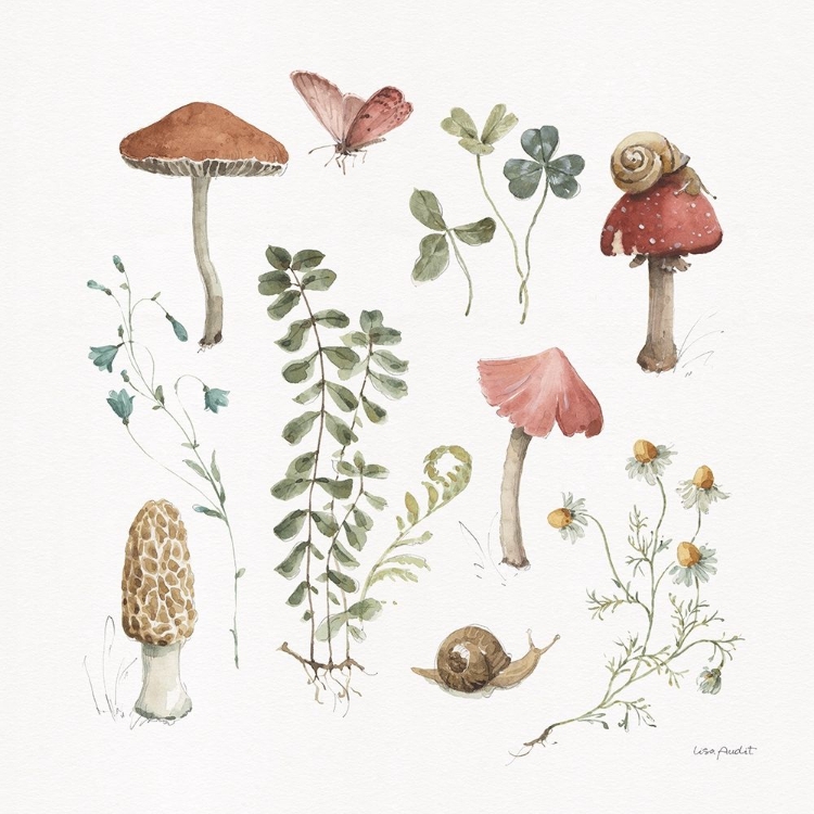 Picture of FOREST TREASURES 02