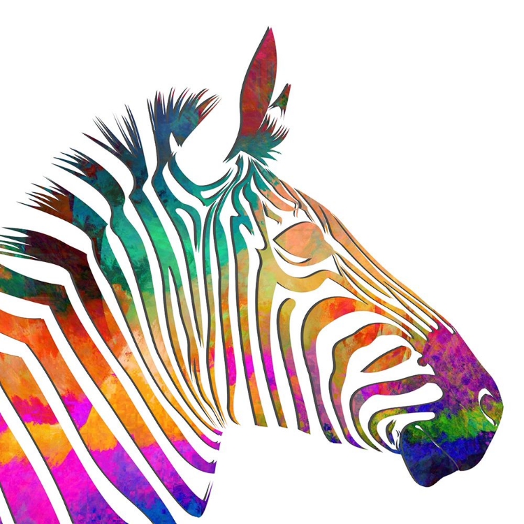 Picture of RAINBOW ZEBRA