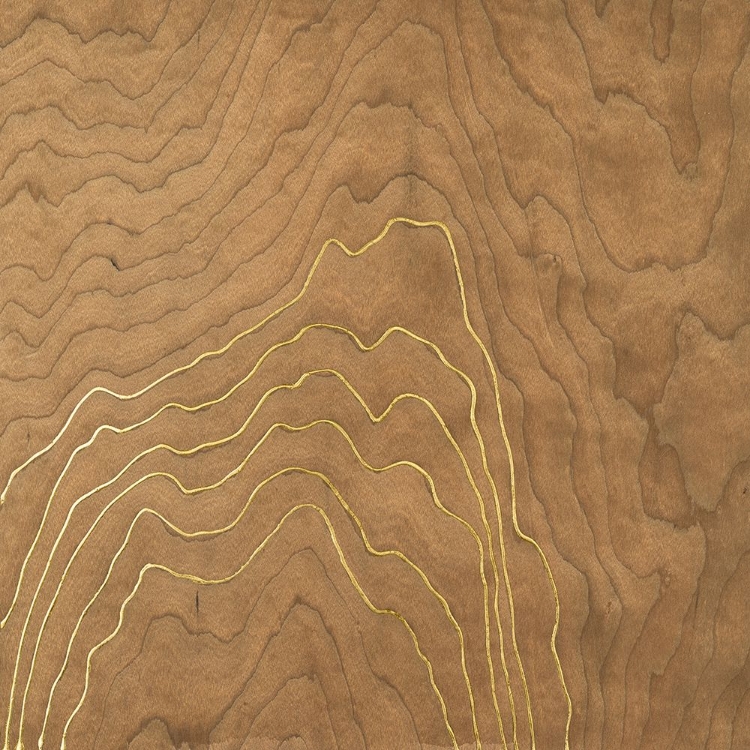 Picture of GOLDEN VENEER II