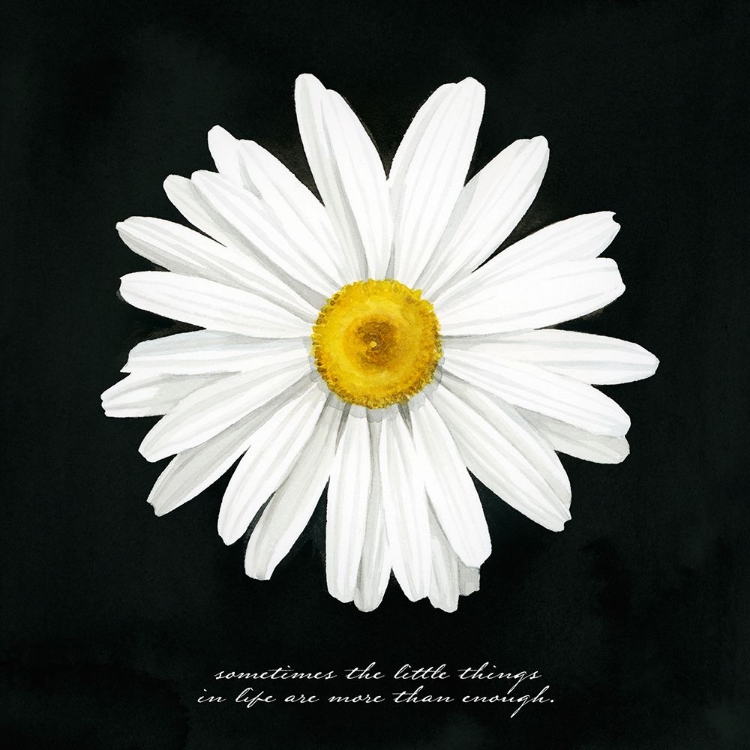 Picture of DELICATE DAISY I