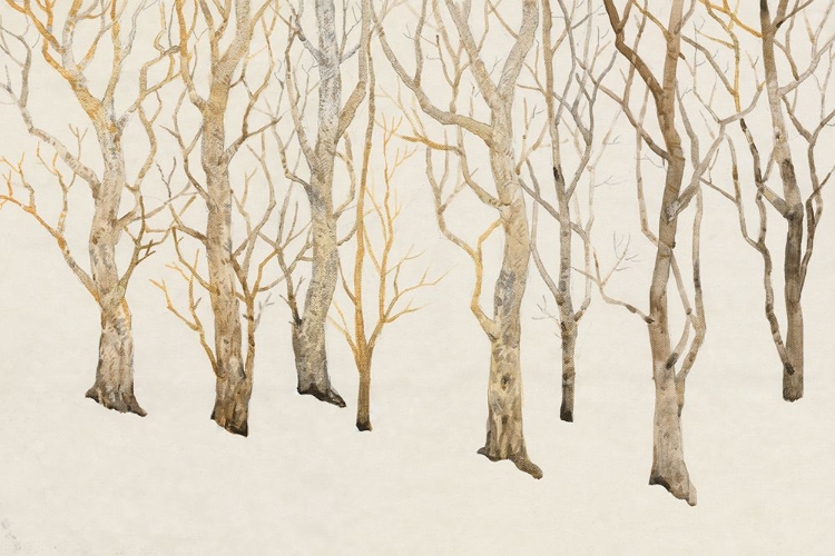 Picture of BARE TREES II