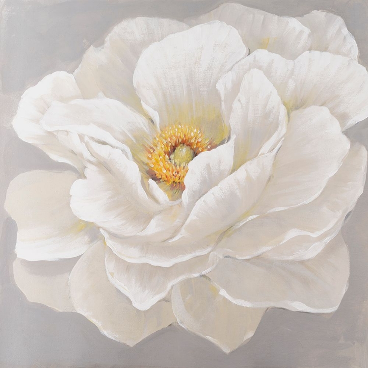 Picture of WHITE PEONY I