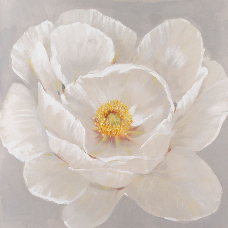 Picture of WHITE PEONY II