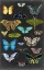 Picture of GRAPHIC BUTTERFLY TAXONOMY I