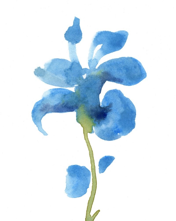 Picture of STRIKING BLUE IRIS III