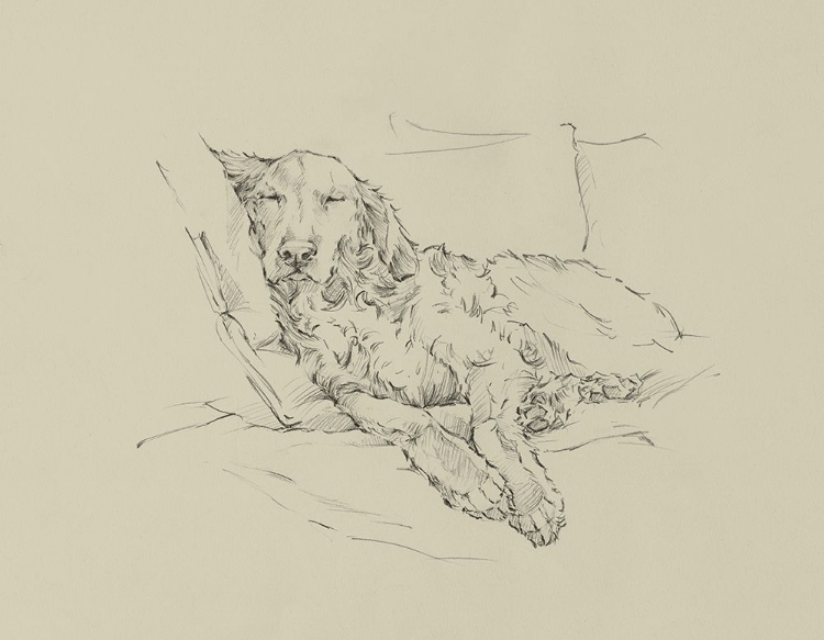 Picture of GOLDEN SKETCH II