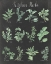 Picture of KITCHEN HERB CHART ON BLACK II