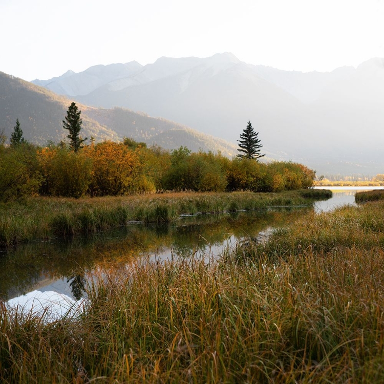 Picture of FALL MARSHLAND