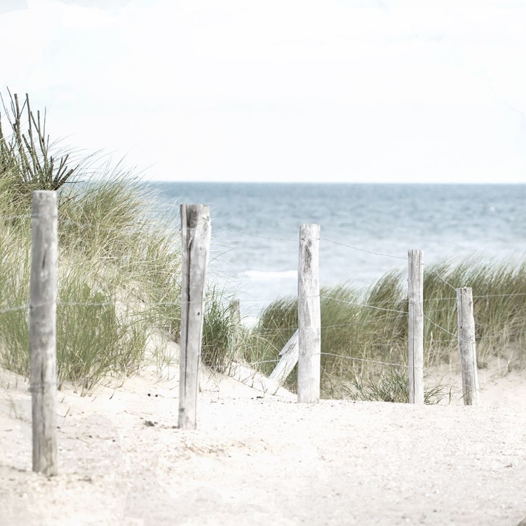 Picture of SAND PATHWAY