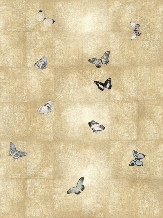 Picture of BUTTERFLIES IN FLIGHT II