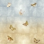 Picture of BUTTERFLIES I