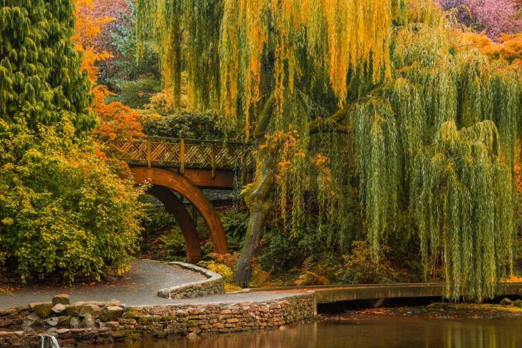 Picture of WILLOWS OVER THE POND