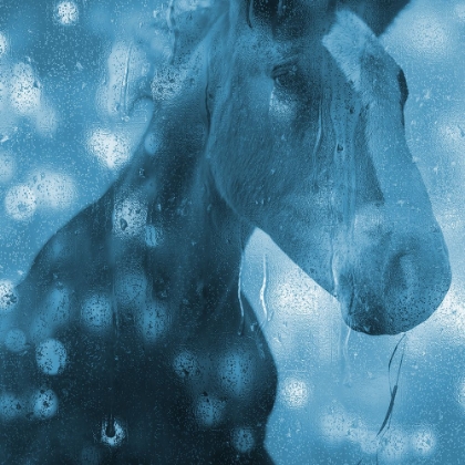 Picture of BLUE BUBBLE HORSE