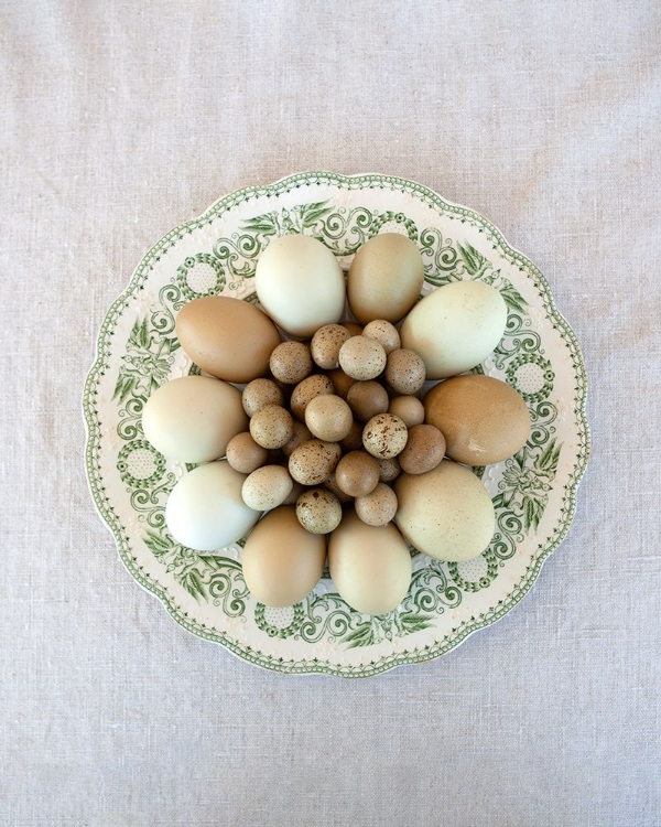 Picture of EGGS ON GREEN COUNTRY PLATE