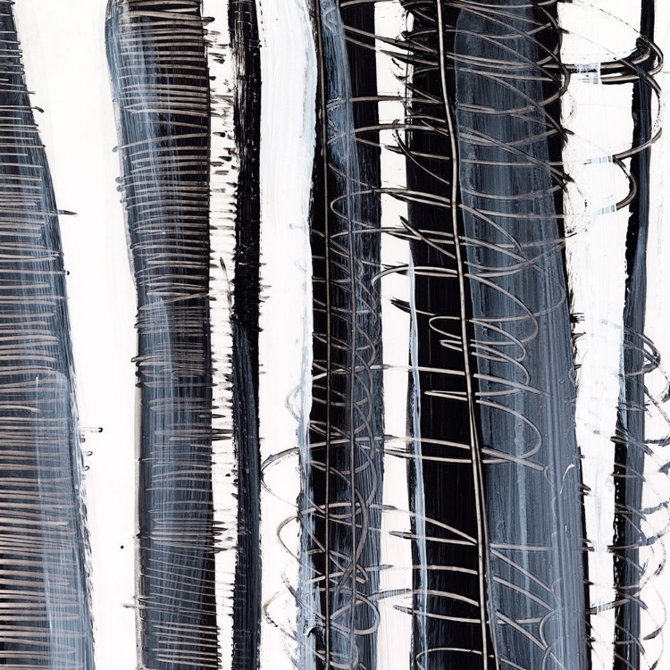 Picture of SCRIBBLE BIRCHES II