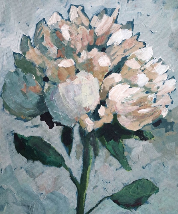 Picture of PEONY