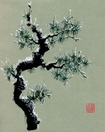 Picture of SNOWY PINE II