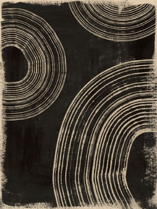 Picture of RINGS ON CHARCOAL II