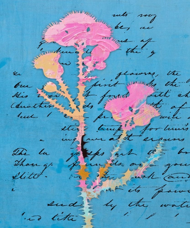 Picture of THISTLE NOTES II