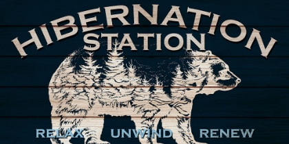 Picture of HIBERNATION STATION