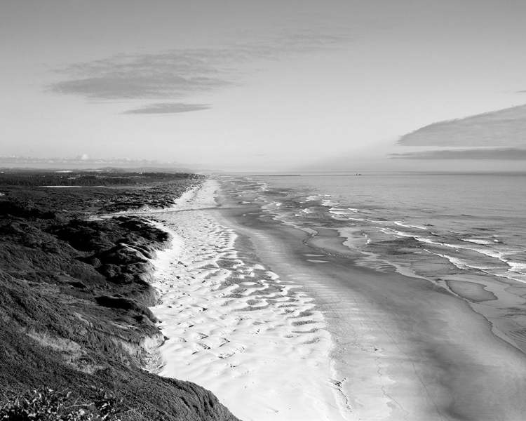 Picture of OREGON DUNES ALONG THE PACIFIC OCEAN