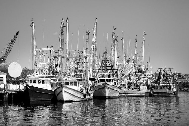 Picture of BAYOU LA BATRE-ALABAMA USA