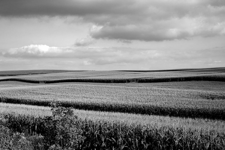 Picture of RURAL WISCONSIN