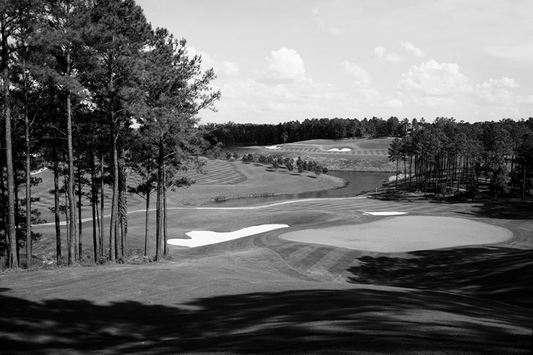 Picture of ROBERT TRENT JONES GOLF TRAIL-ROSS BRIDGE-ALABAMA USA