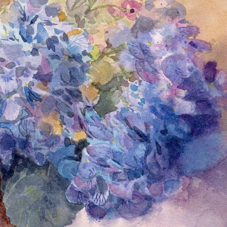 Picture of PERIWINKLE BLUISH HYDRANGEAS I