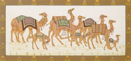 Picture of CAMELS PANEL