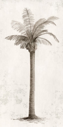 Picture of VINTAGE PALM TREE I 