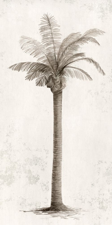 Picture of VINTAGE PALM TREE I 