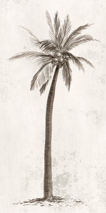 Picture of VINTAGE PALM TREE II