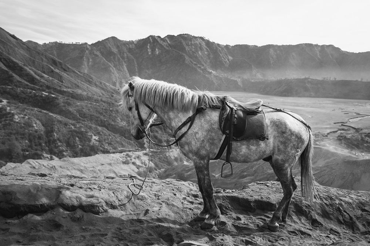 Picture of MOUNTAIN REST STOP