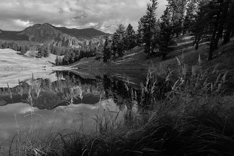 Picture of FALL REFLECTIONS AT TROUT LAKE, YELLOWSTONE NATIONAL PARK