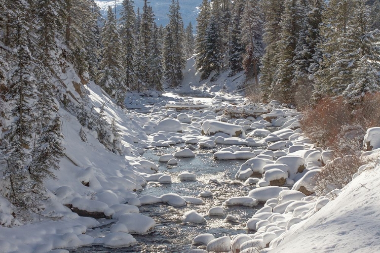 Picture of SODA BUTTE CREEK, YELLOWSTONE NATIONAL PARK