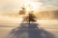 Picture of SUNRISE NEAR TERRACE SPRING, YELLOWSTONE NATIONAL PARK