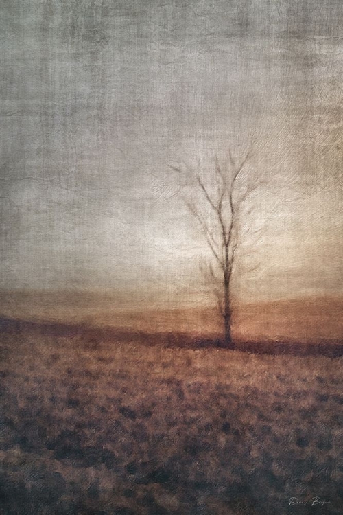 Picture of LONE TREE