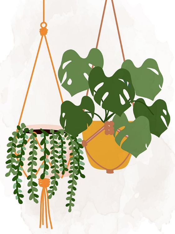 Picture of HANGING PLANTS