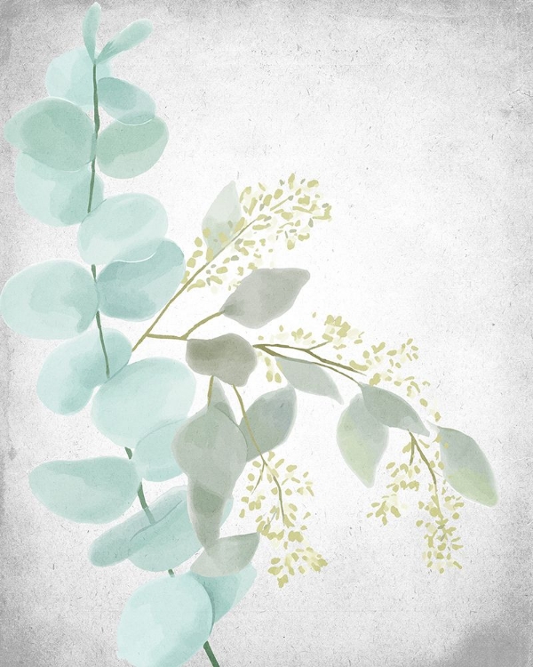 Picture of EUCALYPTUS AND LEAVES 2