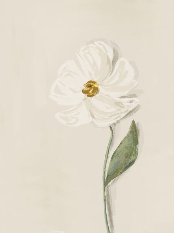 Picture of WHITE FLOWER 1