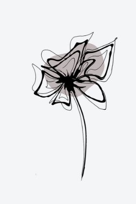 Picture of MINIMAL GILIA FLOWER