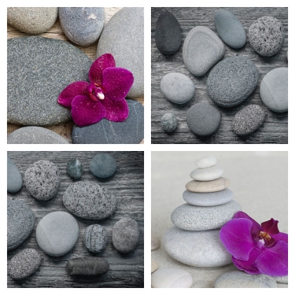 Picture of ZEN ORCHID COLLAGE