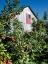 Picture of PATRIOTIC BARN